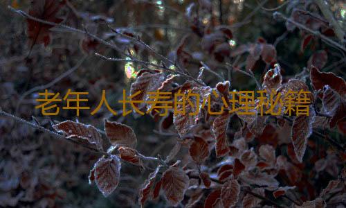 老年人长寿的心理秘籍