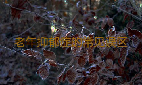 老年抑郁症的常见误区