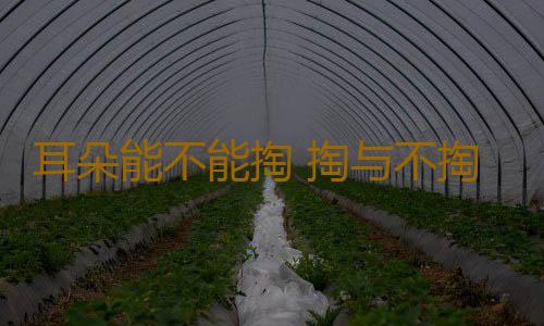 耳朵能不能掏 掏与不掏对人体又是怎样的