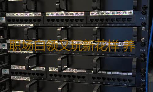 职场白领又玩新花样 养蚂蚁纾解疲惫
