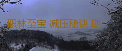 职林至宝 减压秘诀 助你驰骋职场
