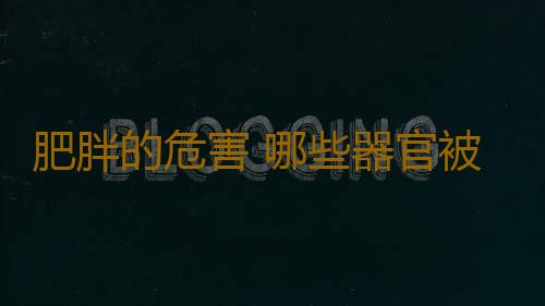 肥胖的危害 哪些器官被改变了