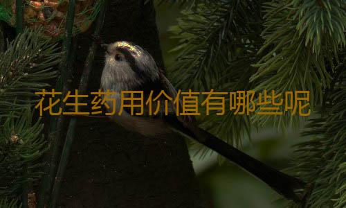 花生药用价值有哪些呢