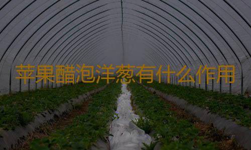 苹果醋泡洋葱有什么作用？