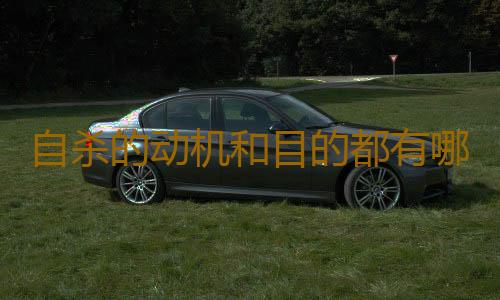 自杀的动机和目的都有哪些？