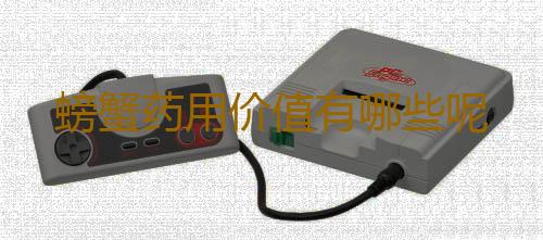 螃蟹药用价值有哪些呢