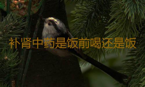 补肾中药是饭前喝还是饭后喝