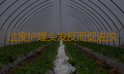 过度护理头发反而促进脱发 想要拥有乌黑秀发就这样做