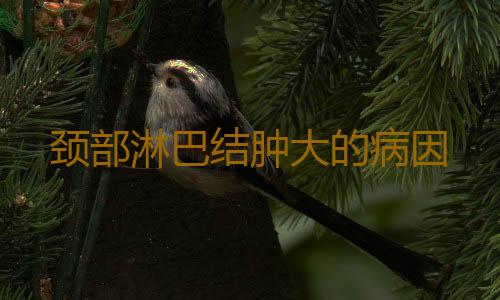 颈部淋巴结肿大的病因