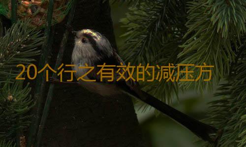 20个行之有效的减压方法